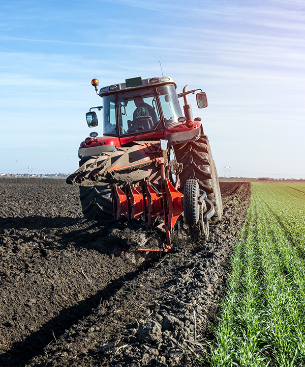 agronos campo
